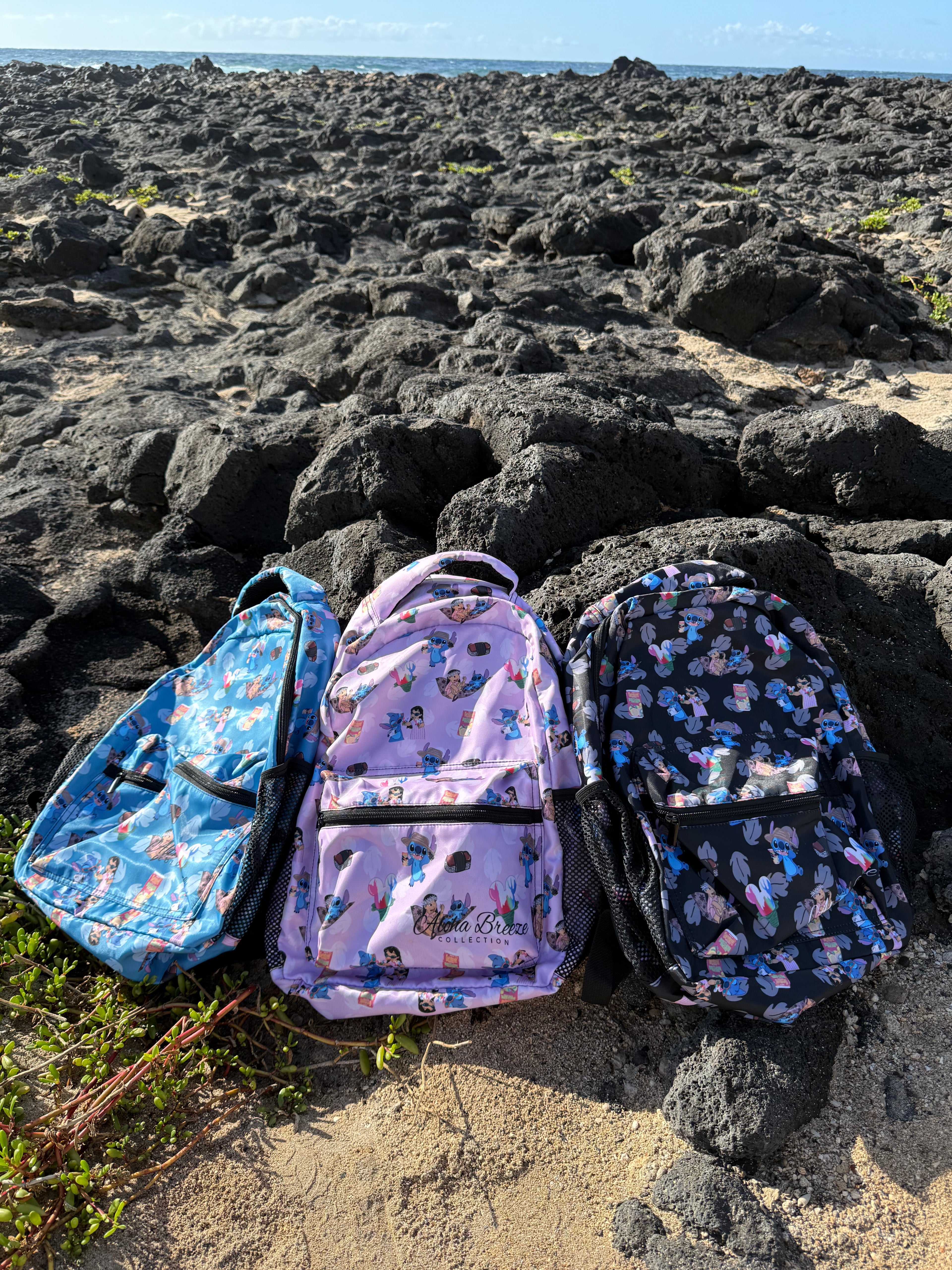 Back Pack