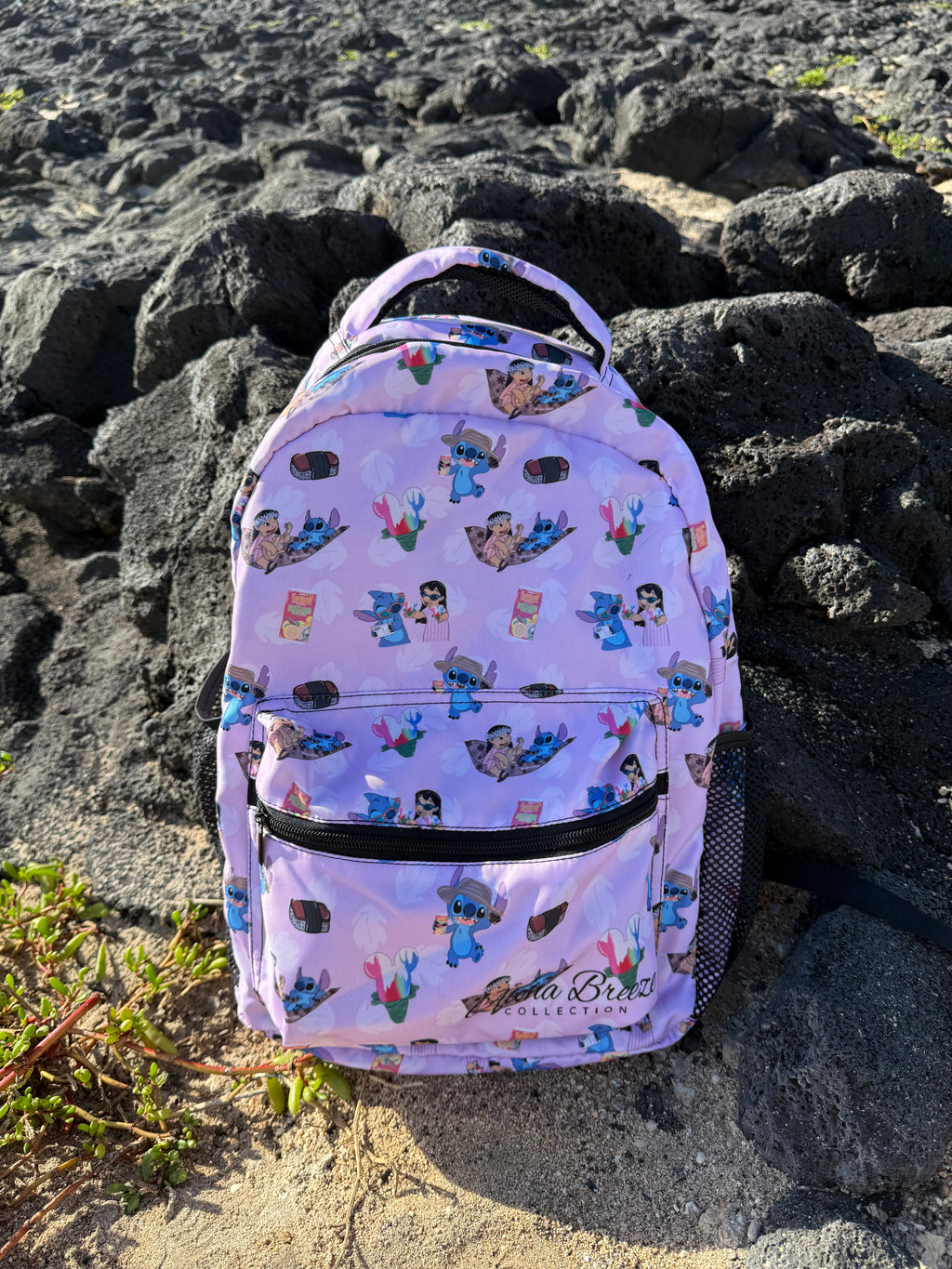 Back Pack
