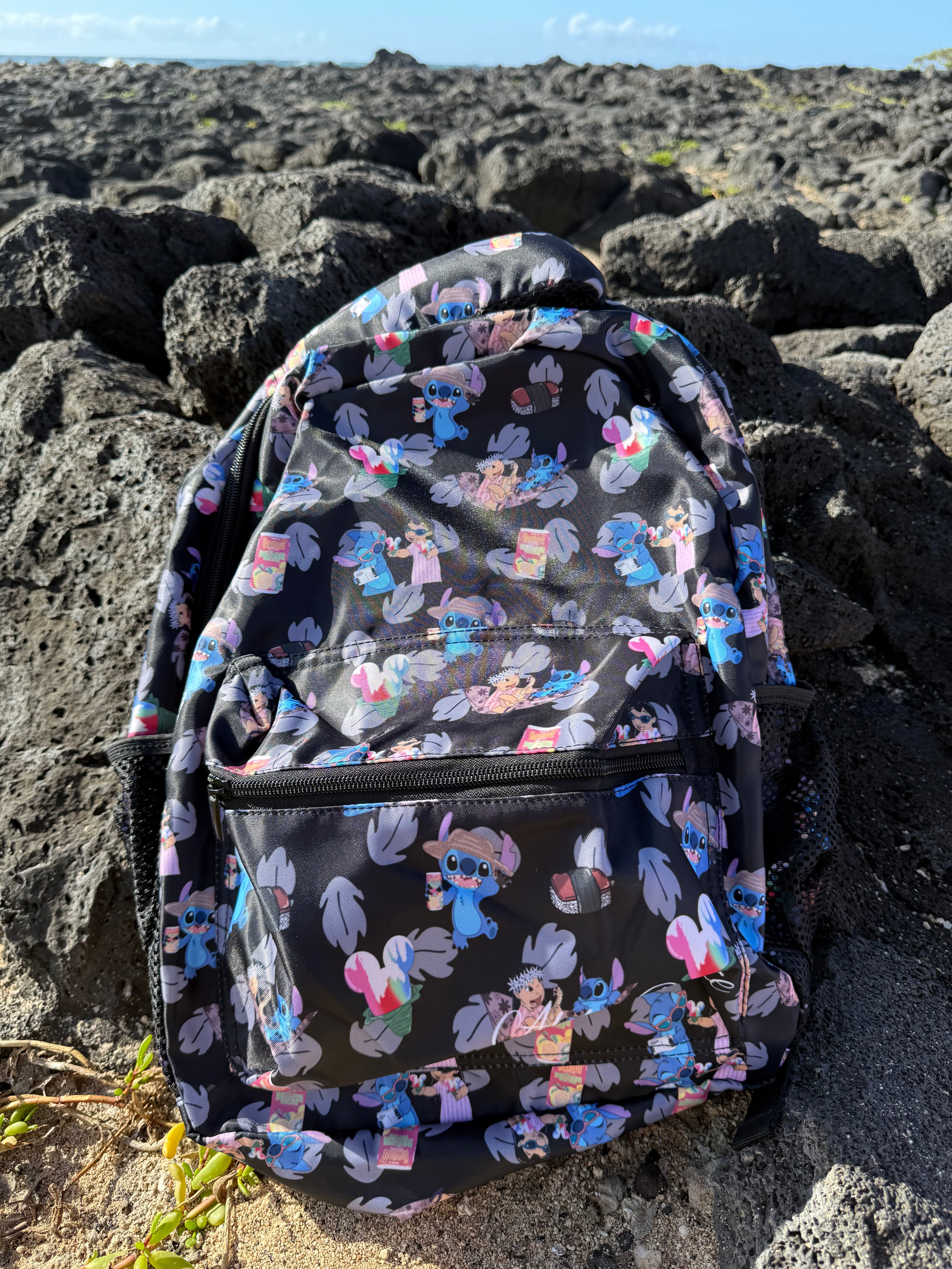 Back Pack