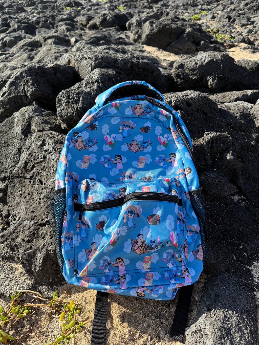 Back Pack