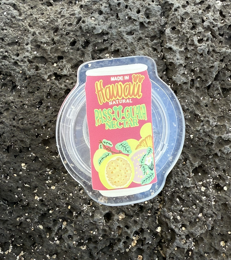Pop Sockets